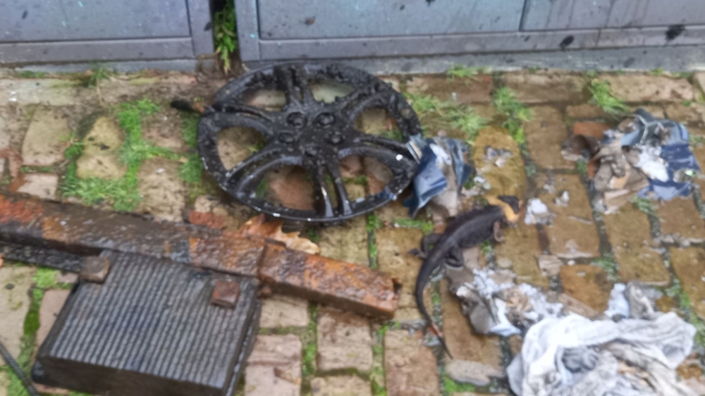 Magneetvisser doet bizarre vondst in Schiedam: dode baardagaam in vuilniszak